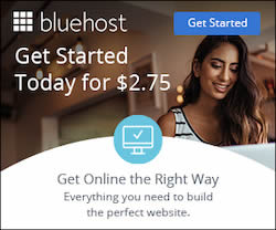 bluehost web service provider