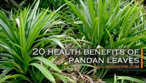 health benefits of pandan leaves