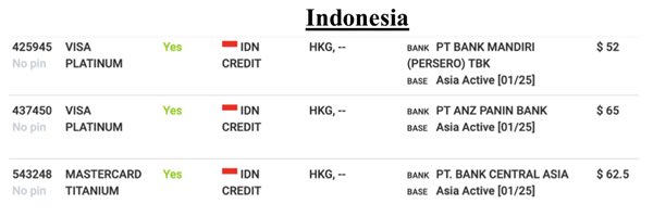 indonesia payment card details exposed