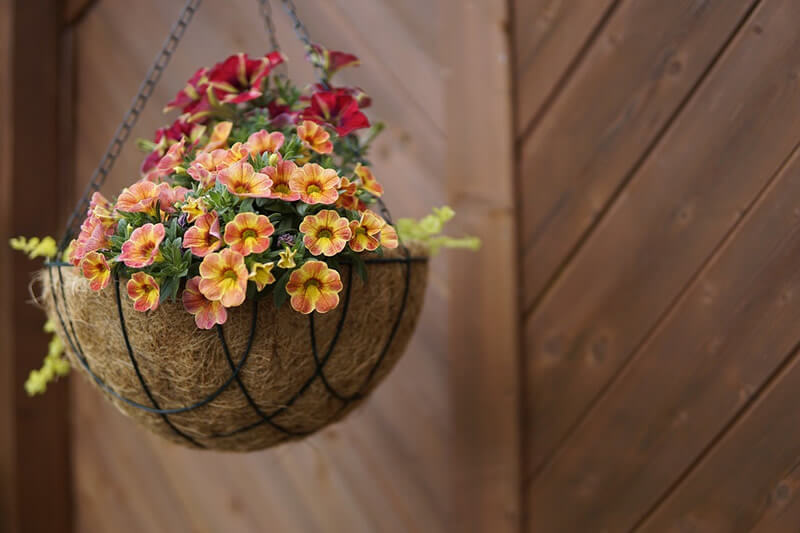 natural flower pot